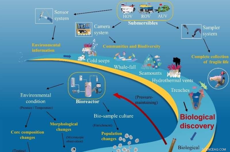 Deep-Sea Technologies Drive Shift in Organism Research from Species to Ecosystems