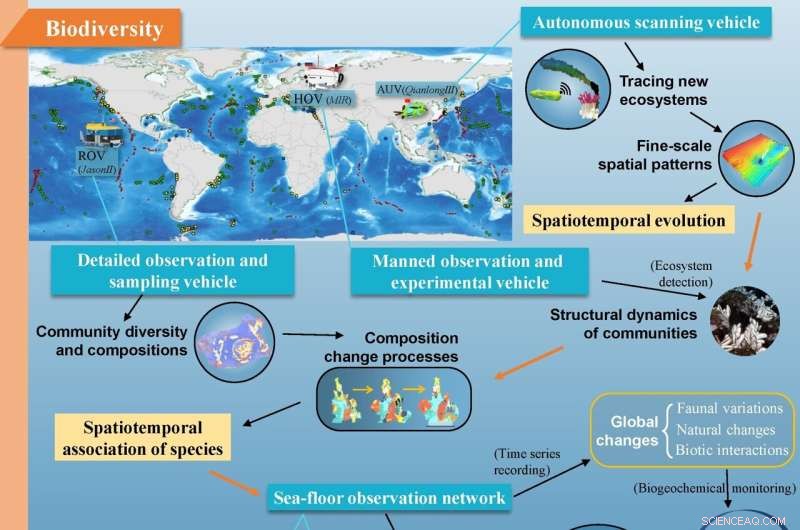 Deep-Sea Technologies Drive Shift in Organism Research from Species to Ecosystems