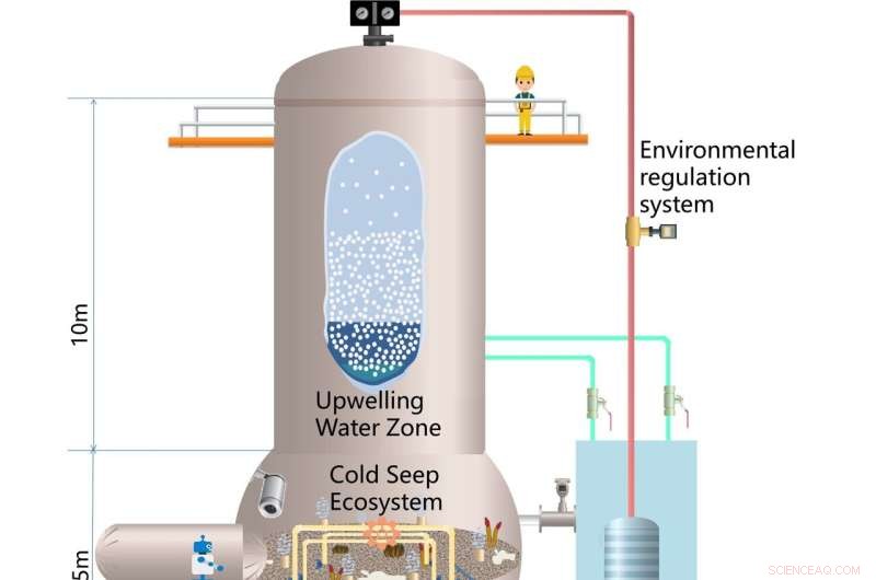 Deep-Sea Technologies Drive Shift in Organism Research from Species to Ecosystems