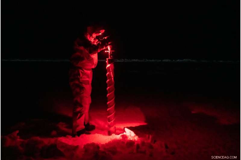 New Arctic Biodiversity Dataset Guides Conservation by Identifying Unique Species