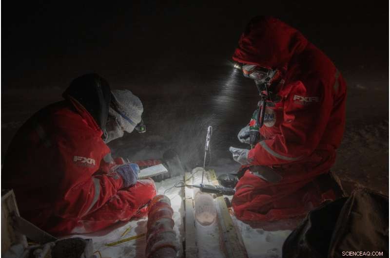 New Arctic Biodiversity Dataset Guides Conservation by Identifying Unique Species