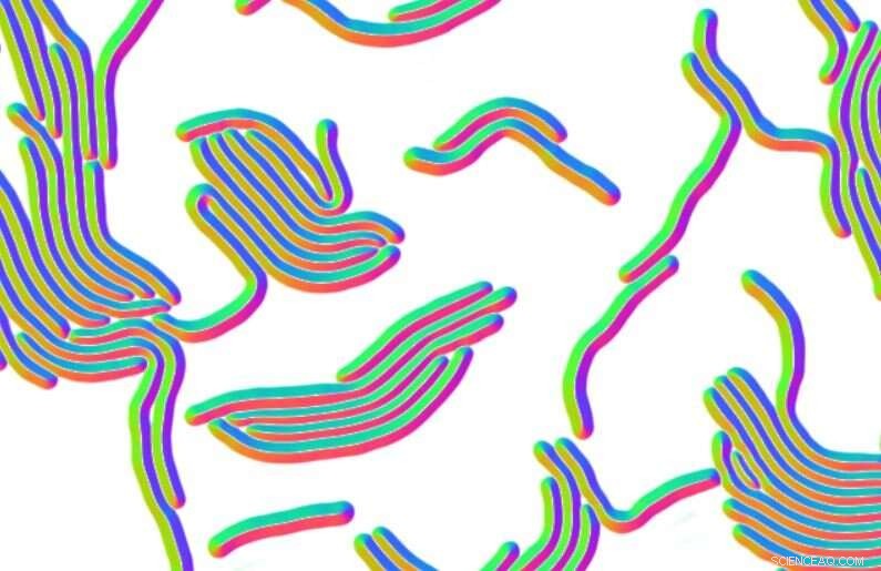 Omnipose Deep Learning Software: Accurate Bacteria Identification in Microscopy Images