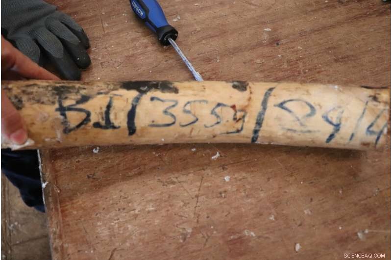 Isotope Analysis Reveals Theft from Burundi s Secure Ivory Stockpile