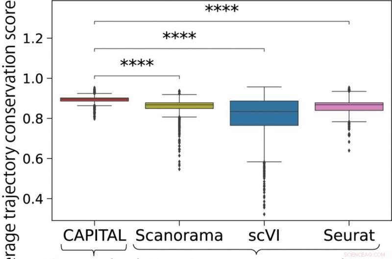 CAPITAL: Advanced Algorithm for Precise Single-Cell RNA Pseudotime Trajectory Comparison