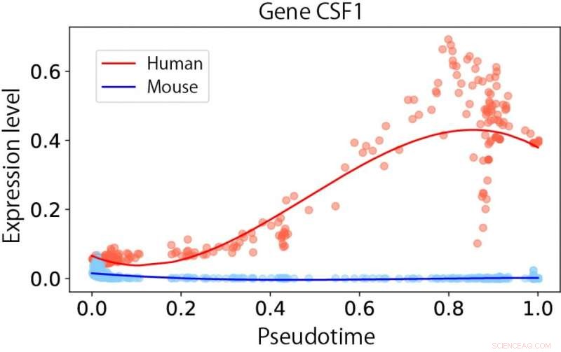 CAPITAL: Advanced Algorithm for Precise Single-Cell RNA Pseudotime Trajectory Comparison