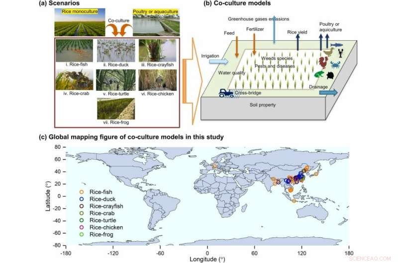 Study Reveals Quaternary Ammonium Disinfectants Drive Antibiotic Resistance in Soil Bacteria