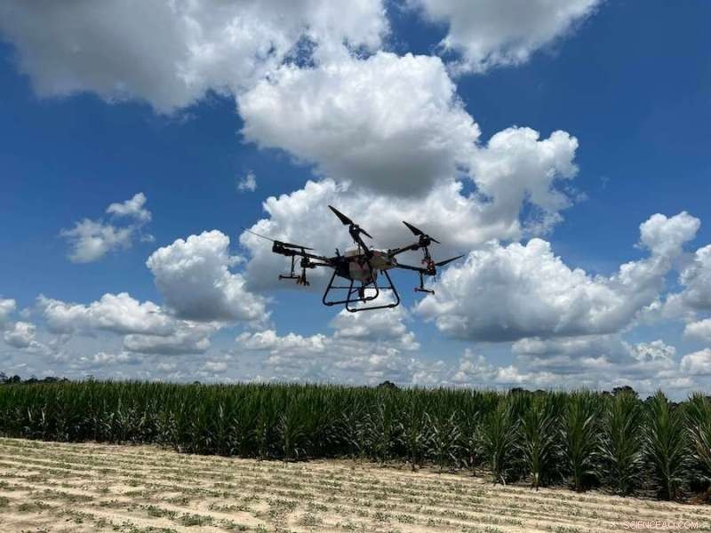 Spray Drones in Agriculture: Boosting Efficiency and Precision for Modern Farming
