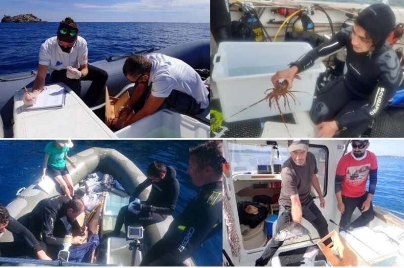 RESMED Research: Advanced Fishing Management Tools for the Pyrenean Marine Coastline