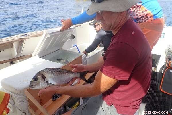 RESMED Research: Advanced Fishing Management Tools for the Pyrenean Marine Coastline