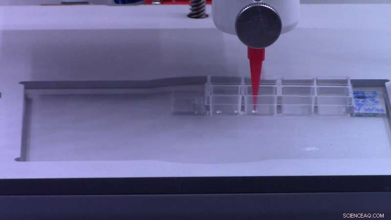 3D Bioprinting Breakthrough: Reproducible Study of Plant Cell Communication