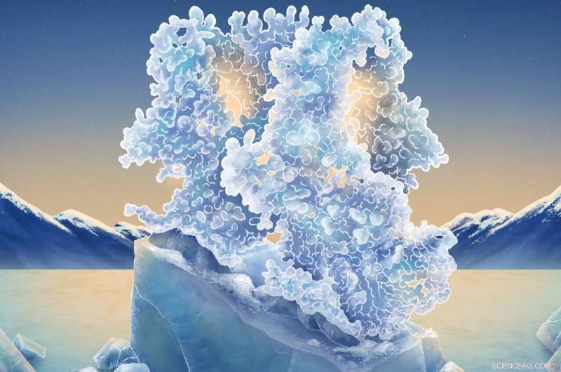 Cryo-EM Reveals How Chemicals Activate TRPM8 Channels to Induce Cold Sensation
