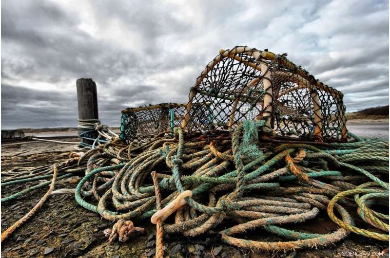Maine Lawmakers Oppose Federal Whale Protection Rules Over Lobster Industry Impact
