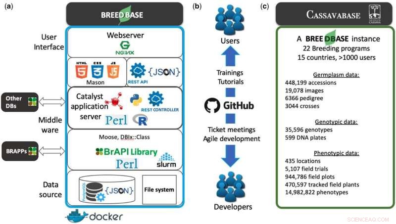 Breedbase: Advanced Software for Accelerated Crop Breeding