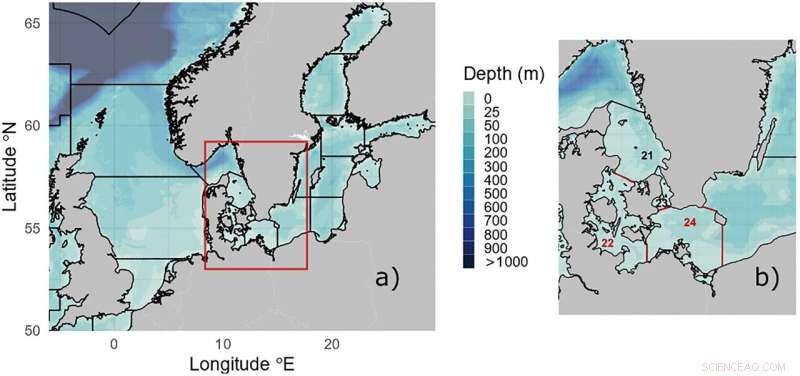 Ecosystem-Based Fisheries Management Successfully Restores Western Baltic Fish Stocks