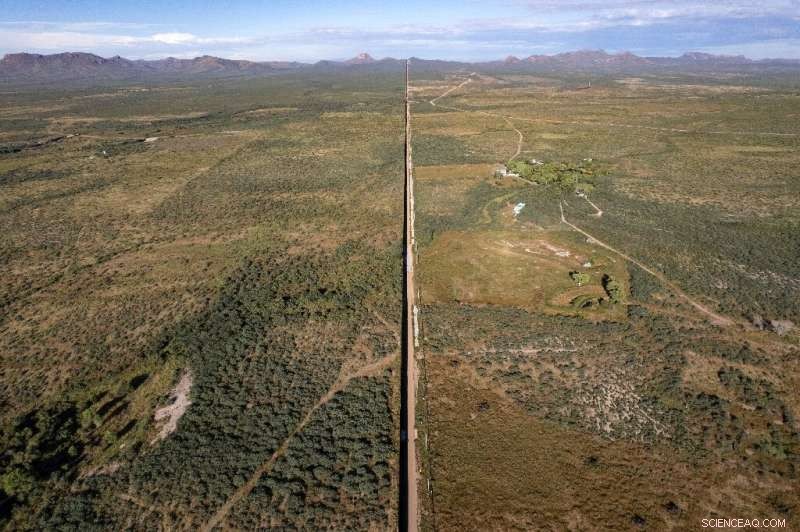 The US-Mexico Border Wall: Wildlife Conservation at Risk