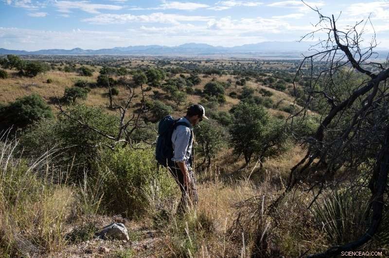 The US-Mexico Border Wall: Wildlife Conservation at Risk