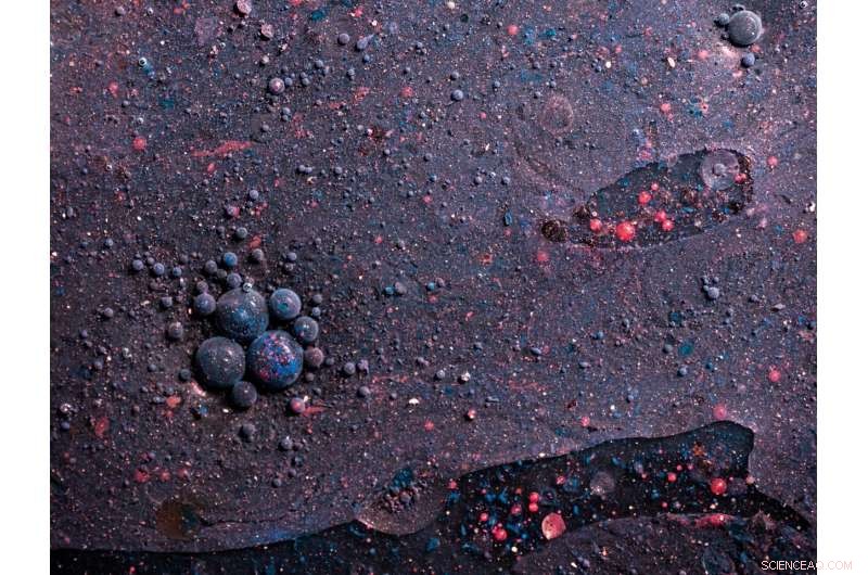 Scientists Replicate Molecules to Uncover Bacteria s Immune-Evasion Strategy