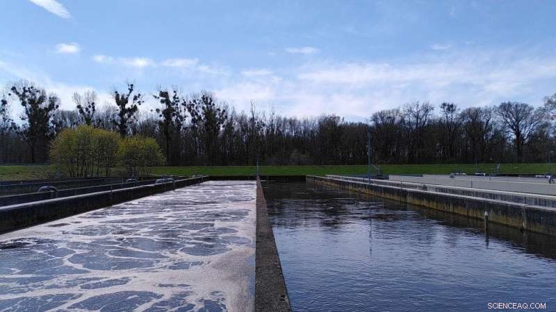 Enhancing Phosphorus Recycling from Sewage Sludge: Insights from Vivianite Research