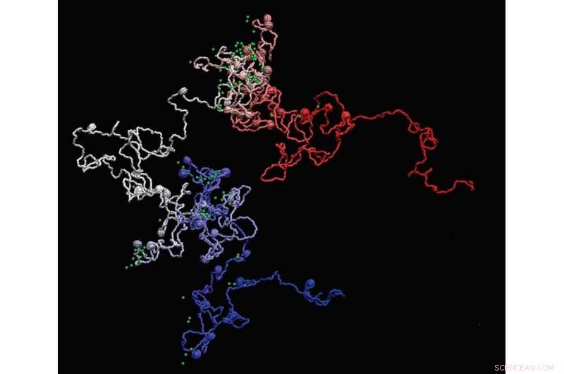 Revolutionary MiOS Imaging Technique Captures Gene Folding at Unprecedented Resolution
