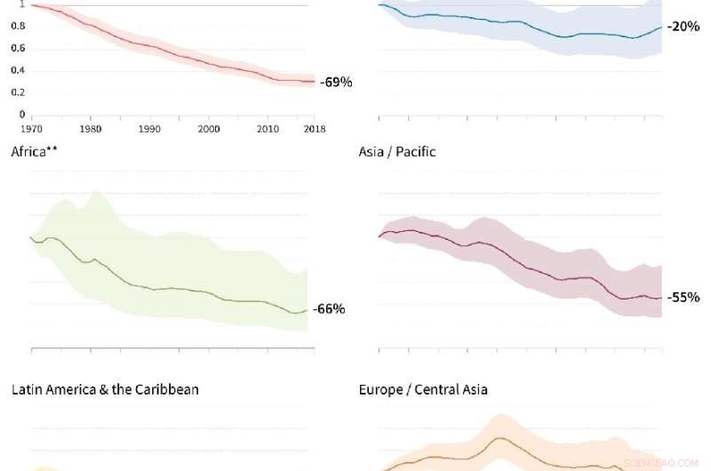 WWF Report Reveals Alarming 69% Decline in Global Wildlife Populations Since 1970
