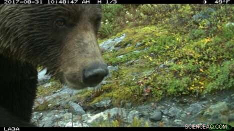How Few Visitors Still Disrupt Wildlife in U.S. National Parks