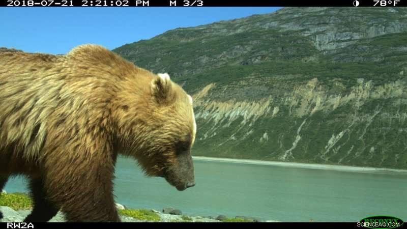 How Few Visitors Still Disrupt Wildlife in U.S. National Parks