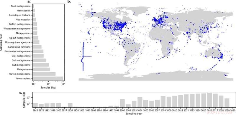Researchers Launch Wikipedia-Style Database to Track Global Antibiotic-Resistant Bacteria