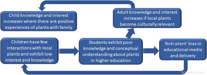 Study Reveals Urban Life Drives Plant Blindness, Wild Food Foraging as Key Solution
