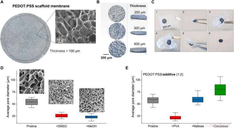The e-Transmembrane Platform: Organic Bioelectronic Device for Advanced 3D Cell Culture Hosting and Monitoring
