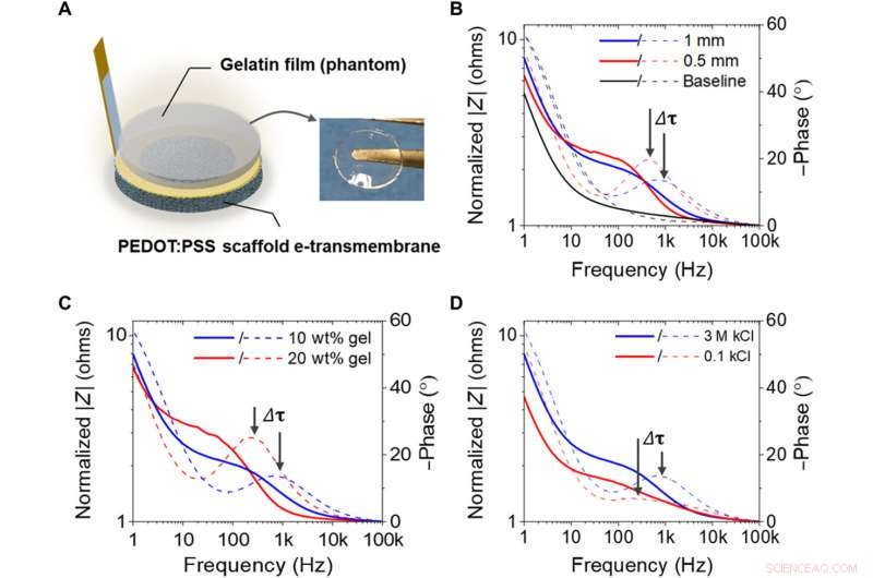 The e-Transmembrane Platform: Organic Bioelectronic Device for Advanced 3D Cell Culture Hosting and Monitoring