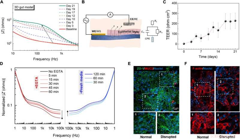 The e-Transmembrane Platform: Organic Bioelectronic Device for Advanced 3D Cell Culture Hosting and Monitoring