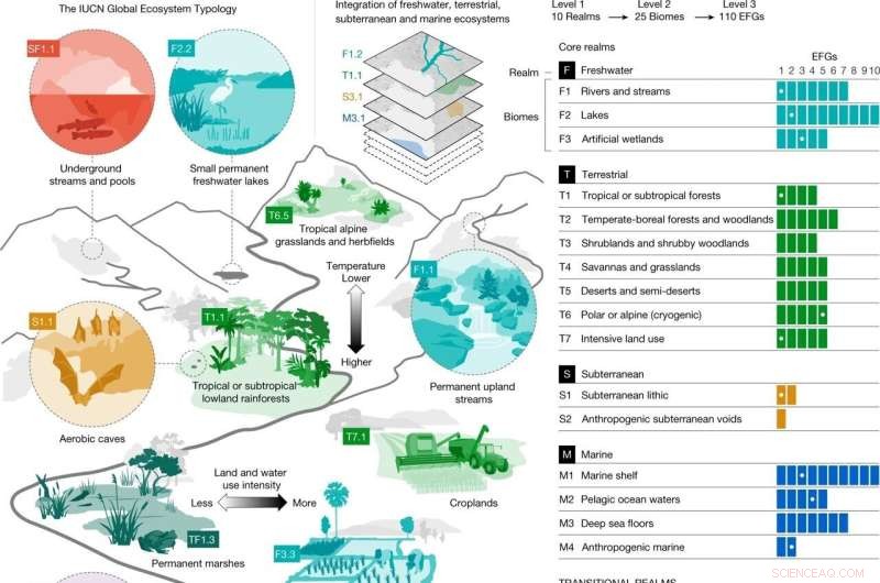 Global Ecosystem Typology: First Comprehensive Classification of Planetary Ecosystems