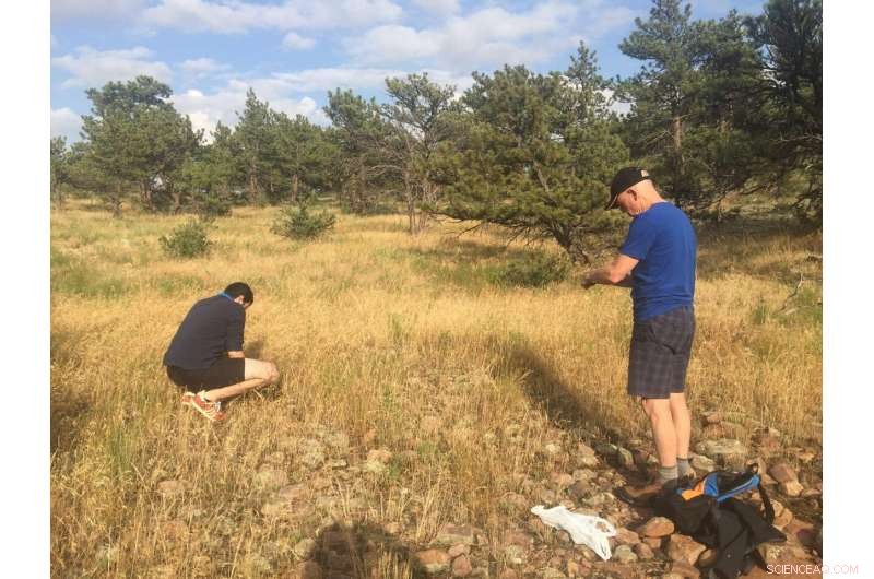 Nature Study Exposes Critical Protection Gaps in Global Soil Biodiversity Hotspots