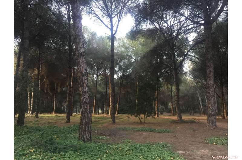 Nature Study Exposes Critical Protection Gaps in Global Soil Biodiversity Hotspots