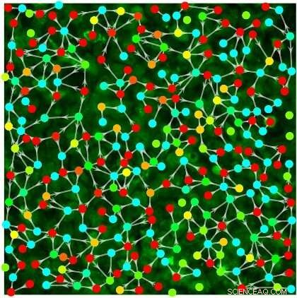 Oregon State Breakthrough: Decoding Cell Communication for Disease Treatment Insights