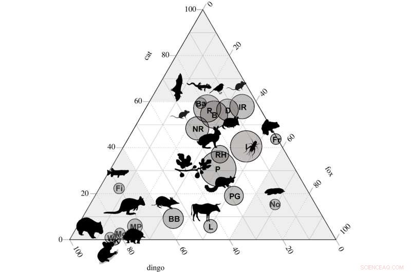 Dingoes vs. Feral Cats and Foxes: A Ternary Plot Analysis of Diet Competition in Australia