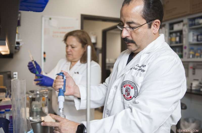 Research Reveals Structural Differences in Shaker Channel Mutation Compared to Human Potassium Channels