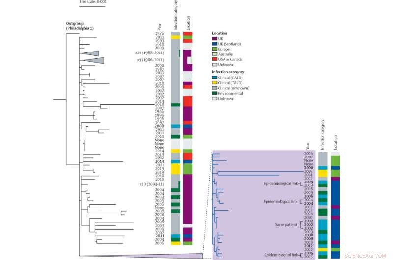 Genetic Analysis Identifies High-Risk Legionella Lineage Linked to Long-Term Outbreaks