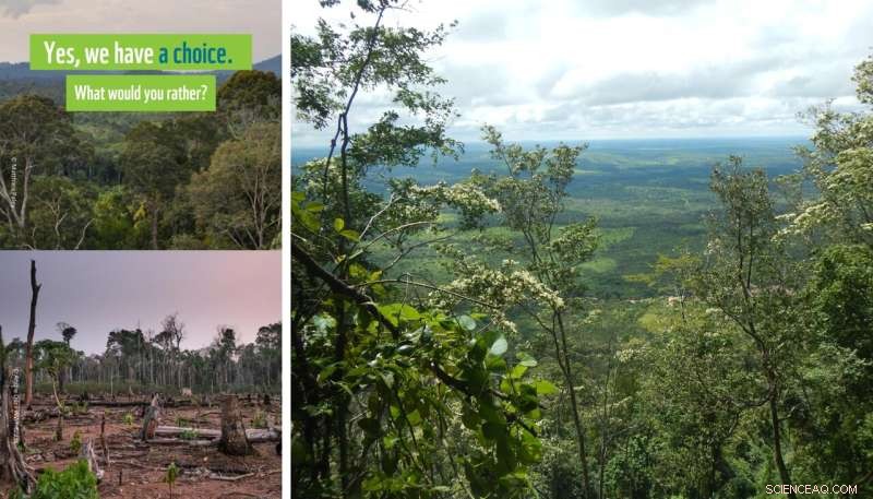 WWF 2022 Living Planet Report: Scientists Urgent Call to Conserve Guinea s Indigenous Plants