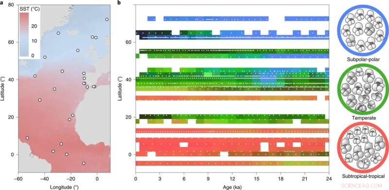How Global Warming Shapes Marine Biodiversity: North Atlantic Plankton Evidence Since the Ice Age