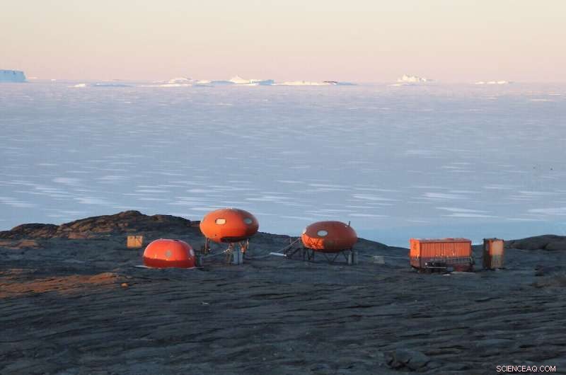 43% Decline in Adélie Penguin Population Near Mawson, East Antarctica