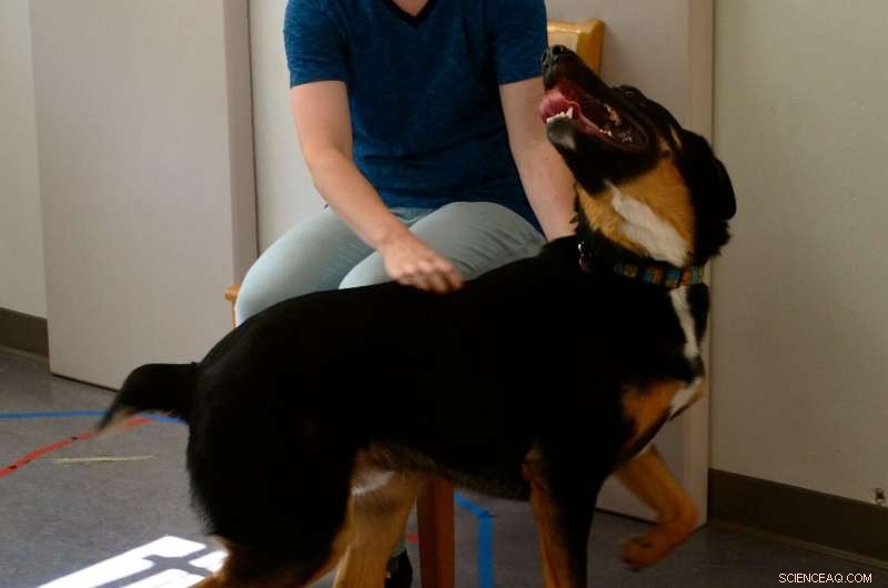 Oregon State University Study: How Pet Parenting Styles Influence Dog Behavior and Social Skills
