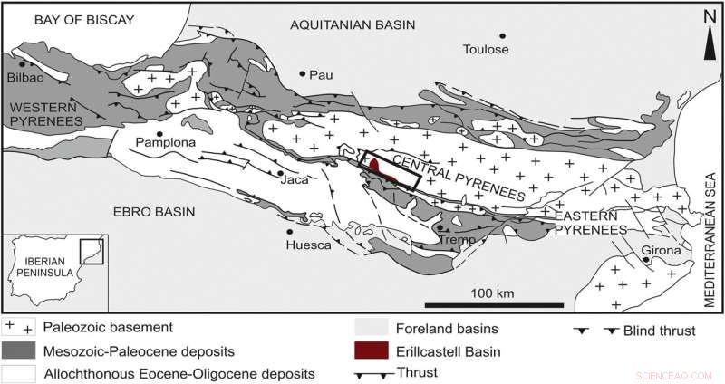 Carboniferous Flora Expansion: Sigillaria brardii Colonizes Pyrenean Riverbeds