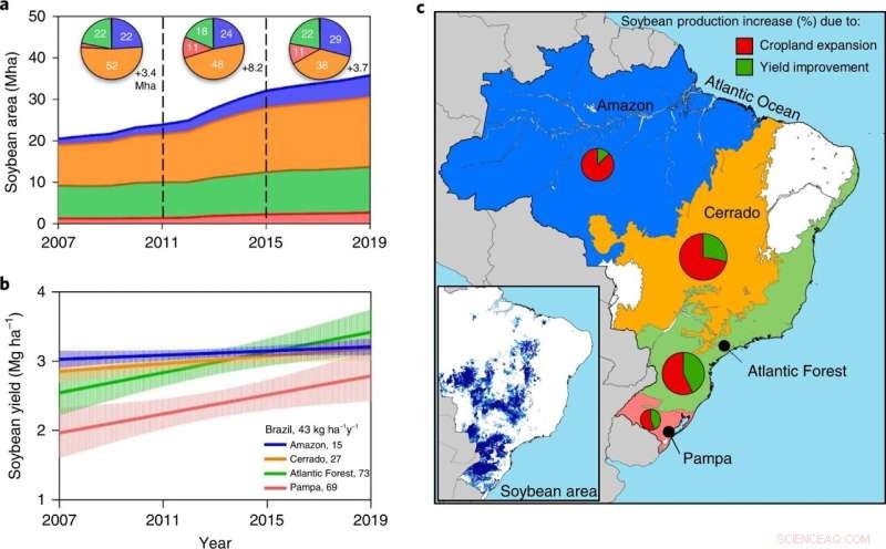 Study Reveals Brazil Can Increase Soybean Production Without Amazon Deforestation