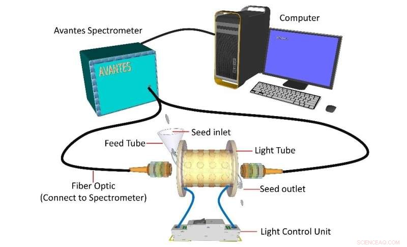 Breakthrough Study Uses Single-Grain Analysis to Identify Hybrid Rice Eating Quality Factors