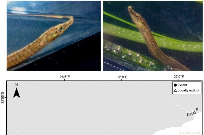 eDNA Toolkit: A Breakthrough for Saving Endangered Species from Extinction