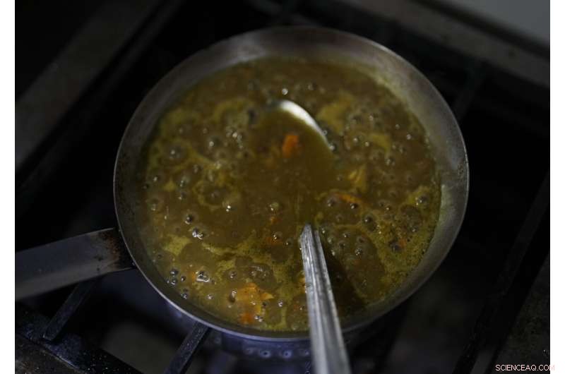 Preserving Ahuautle: The Fight to Save Mexico s Traditional Caviar