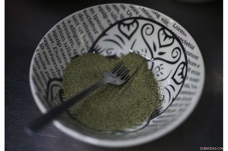 Preserving Ahuautle: The Fight to Save Mexico s Traditional Caviar