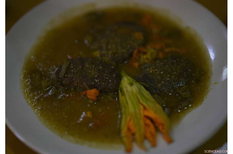 Preserving Ahuautle: The Fight to Save Mexico s Traditional Caviar