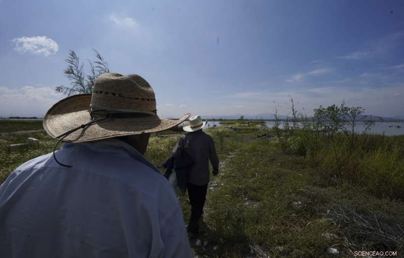 Preserving Ahuautle: The Fight to Save Mexico s Traditional Caviar